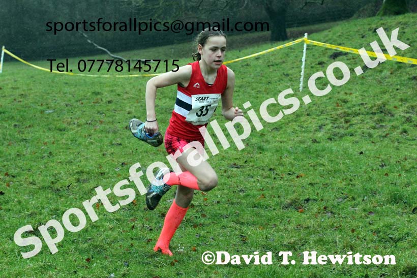 Girls under-13s, NECAA Junior Cross Country Relays, Thornley Farm, Peterlee, Saturday, December 12th. Photo: David T. Hewitson/Sports for All Pics